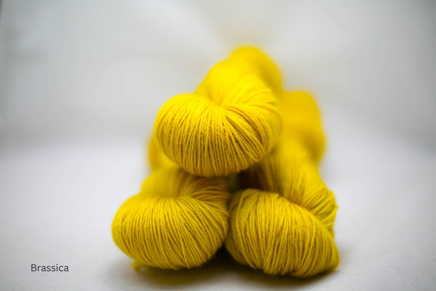 PRE-ORDER - Merino DK / Colours