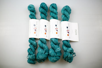 Everyday Sock Mini - Fjord (old base)